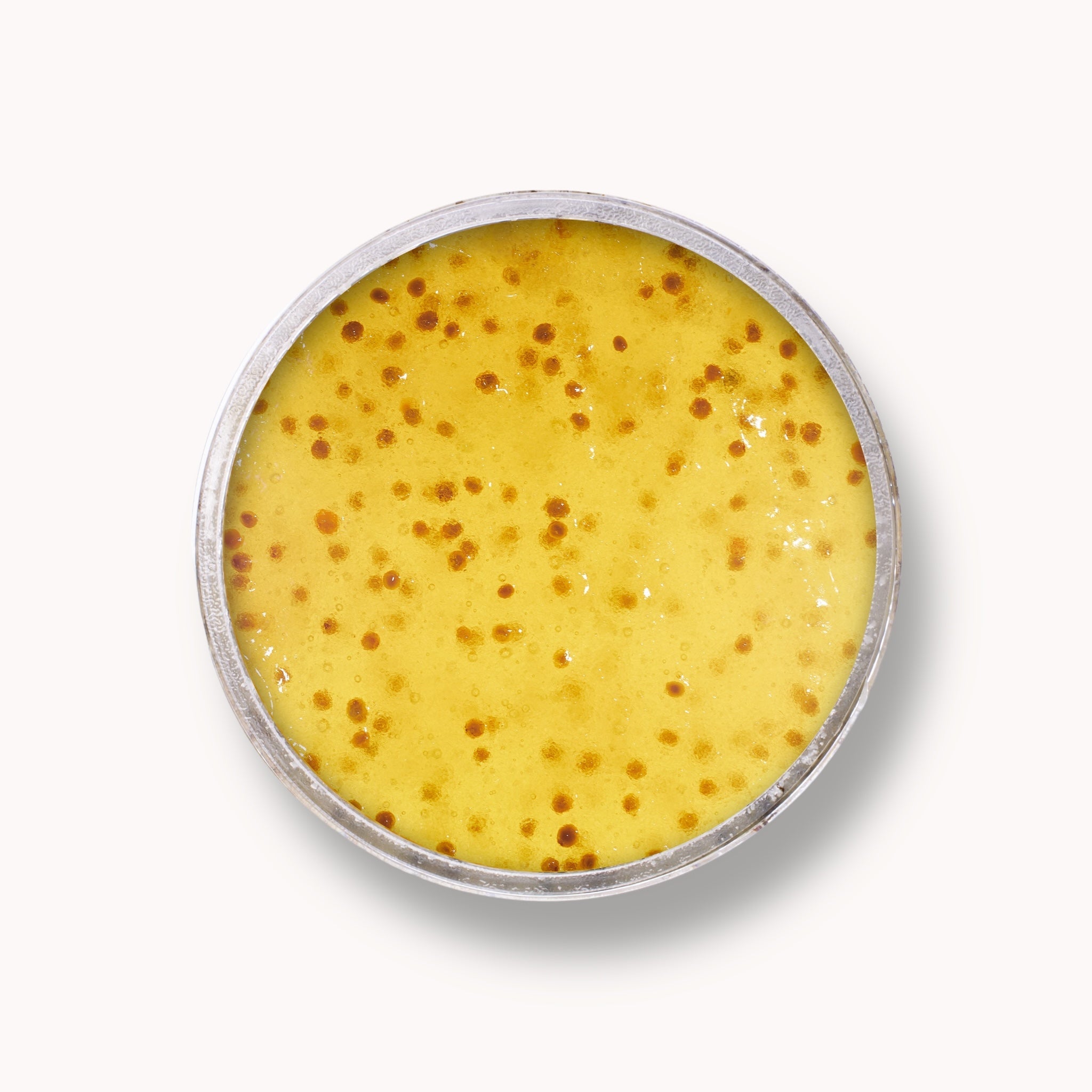 Sugar Jelly Scrub - Citrus