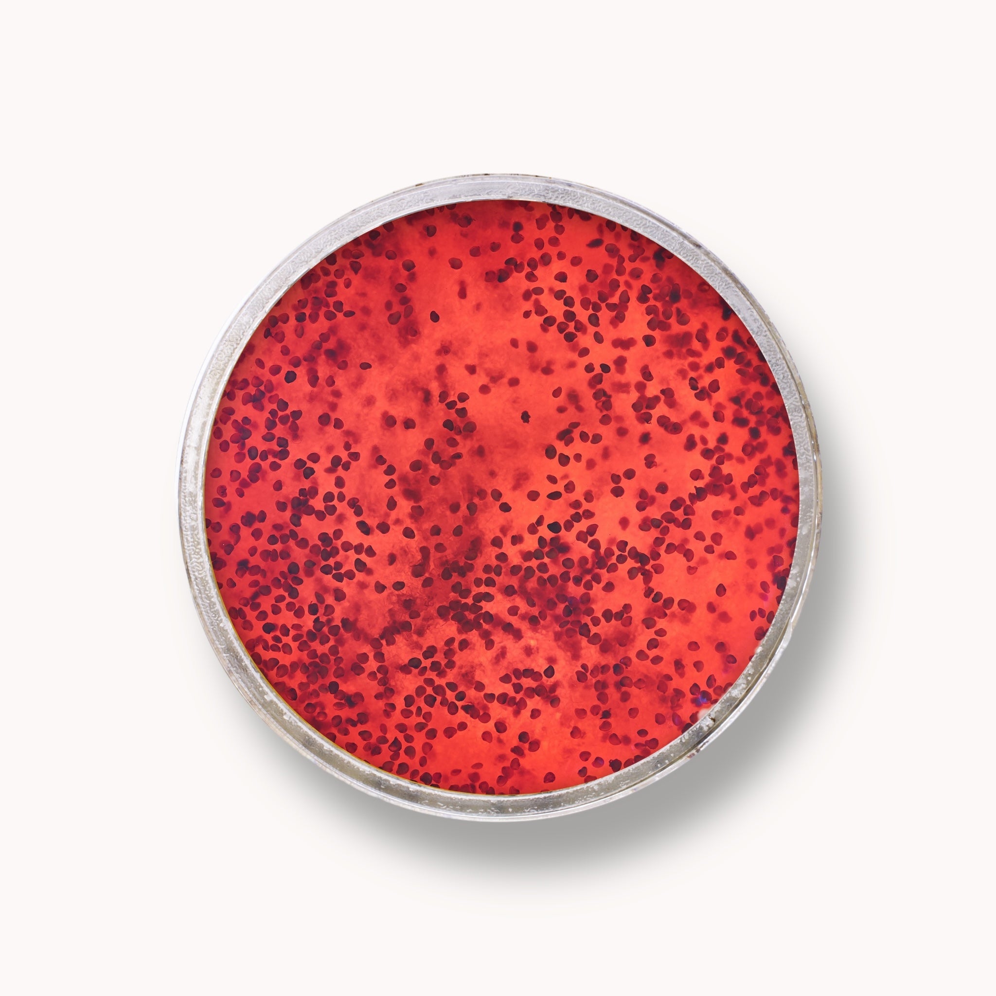 Scrub alla gelatina di zucchero - Fragola