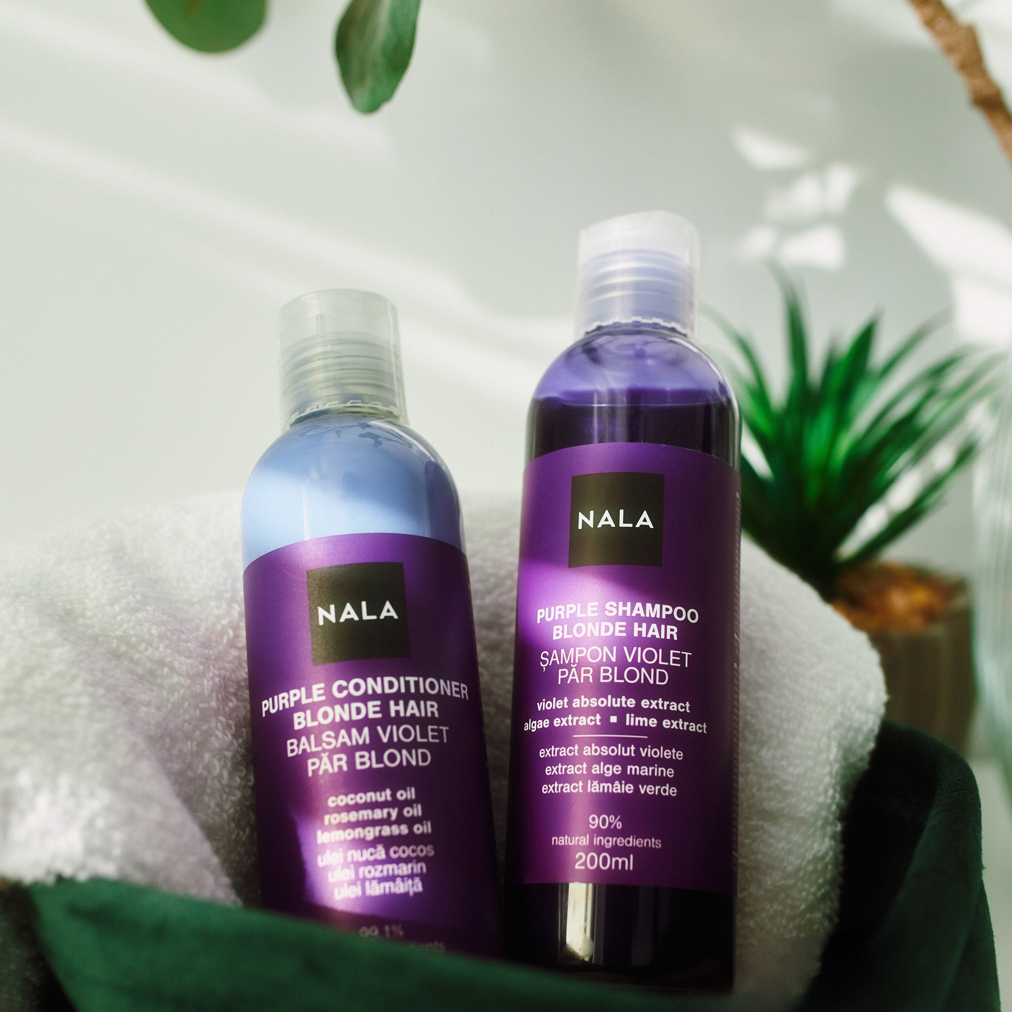 Blonde Hair Purple Shampoo - Violet Absolute Extract, Algae Extract, Lime Extract