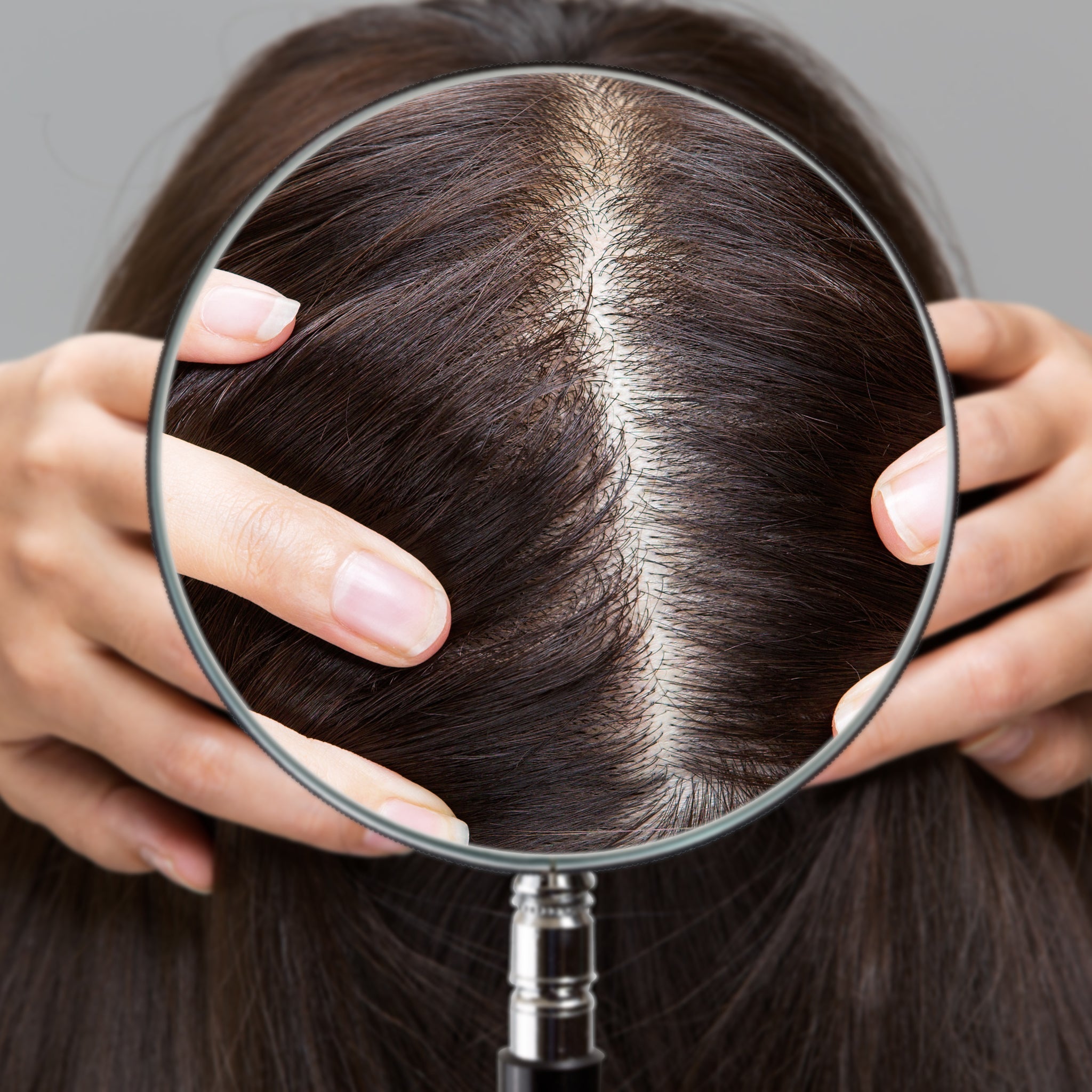 Healthy Roots Scalp Treatment - Wild Mint, Honey, Rose Water