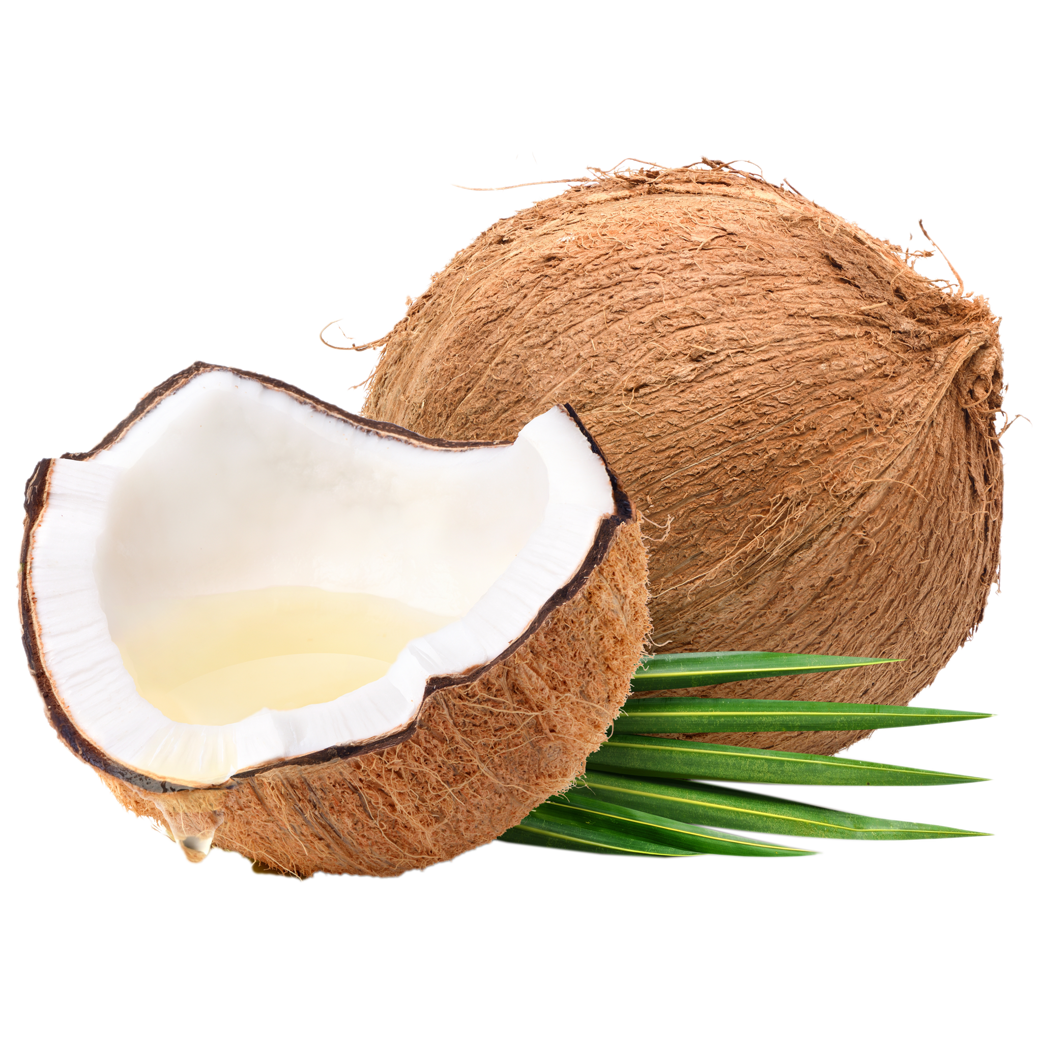Coconut oil
