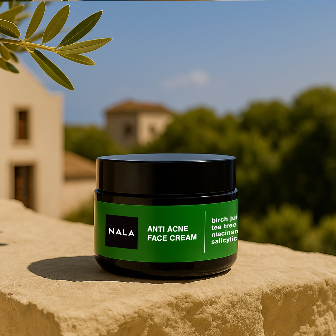 Anti-Acne Cream – Niacinamide, Salicylic Acid, Birch Juice &amp; Tea Tree Oil